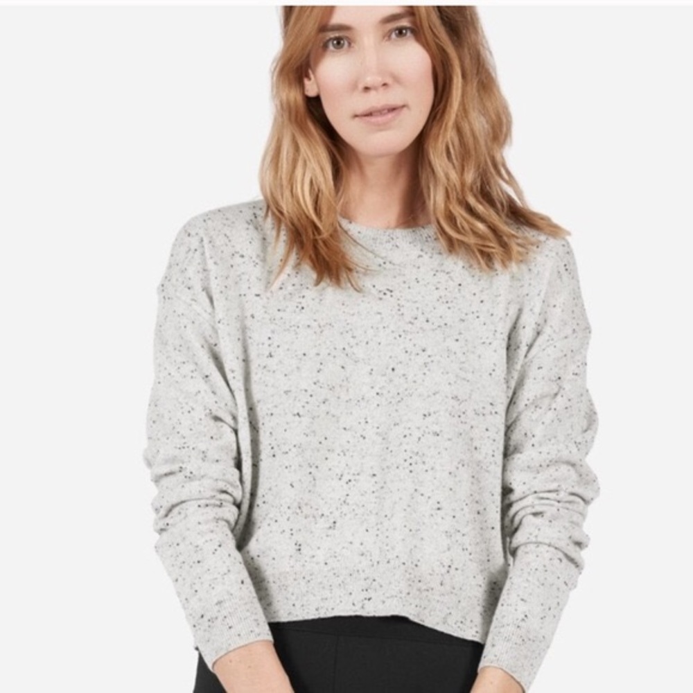 Cashmere Everlane cropped sweater